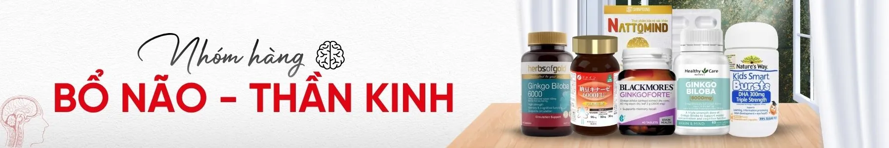Bổ Não & Thần kinh